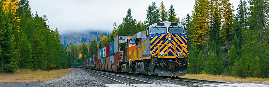 Rail car transpiration asset services